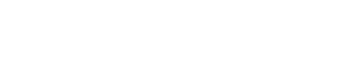 Logo Netpresent